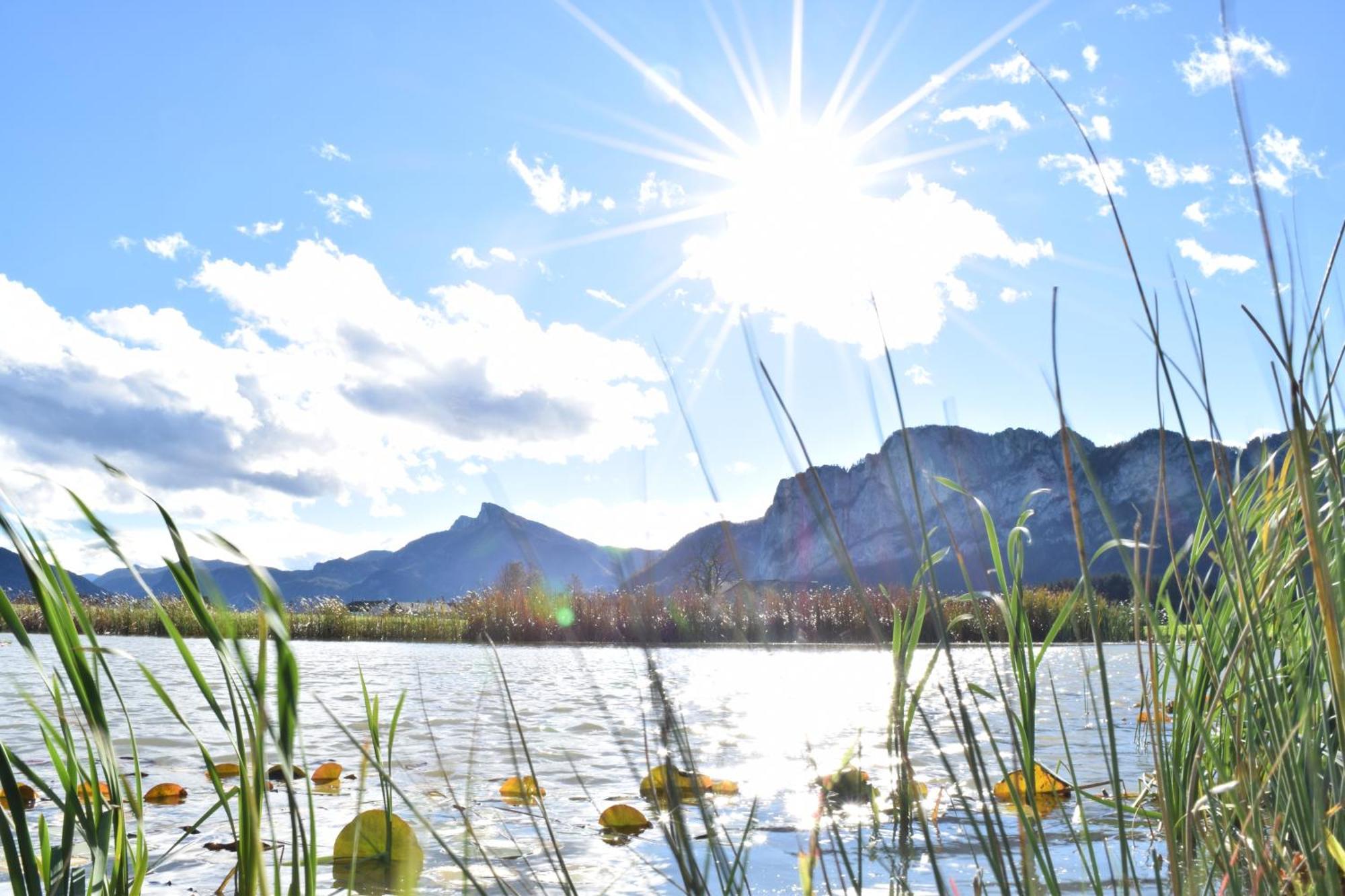 17Er Apartment Mit Sauna Und Privater Garage Mondsee Buitenkant foto