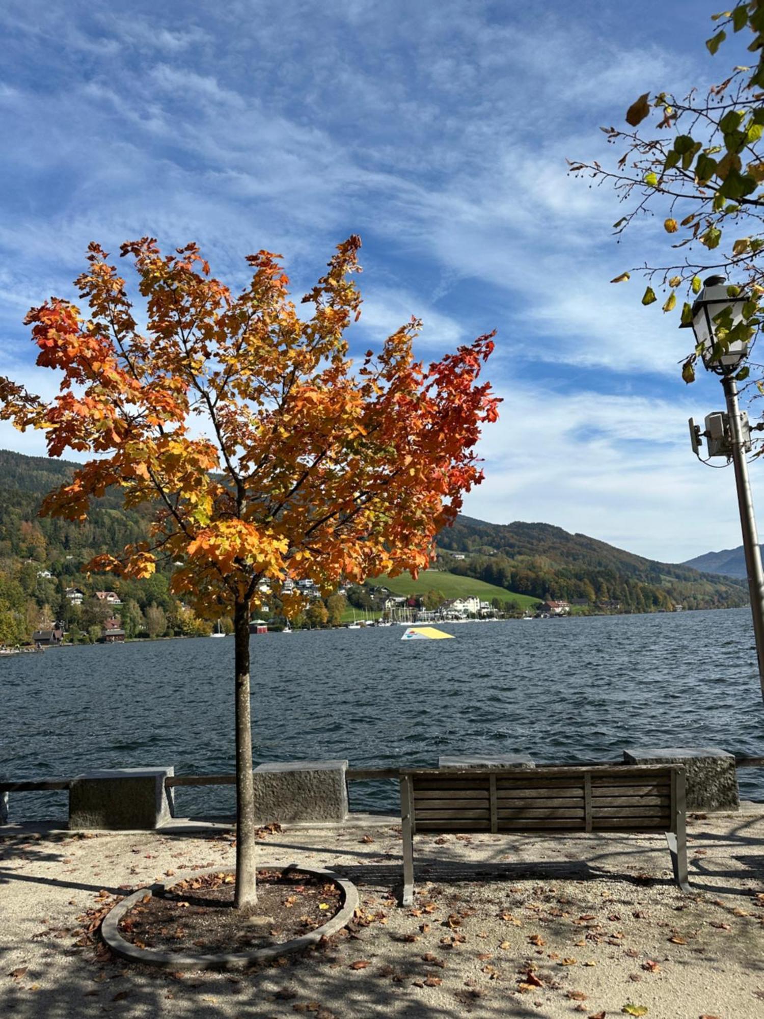 17Er Apartment Mit Sauna Und Privater Garage Mondsee Buitenkant foto