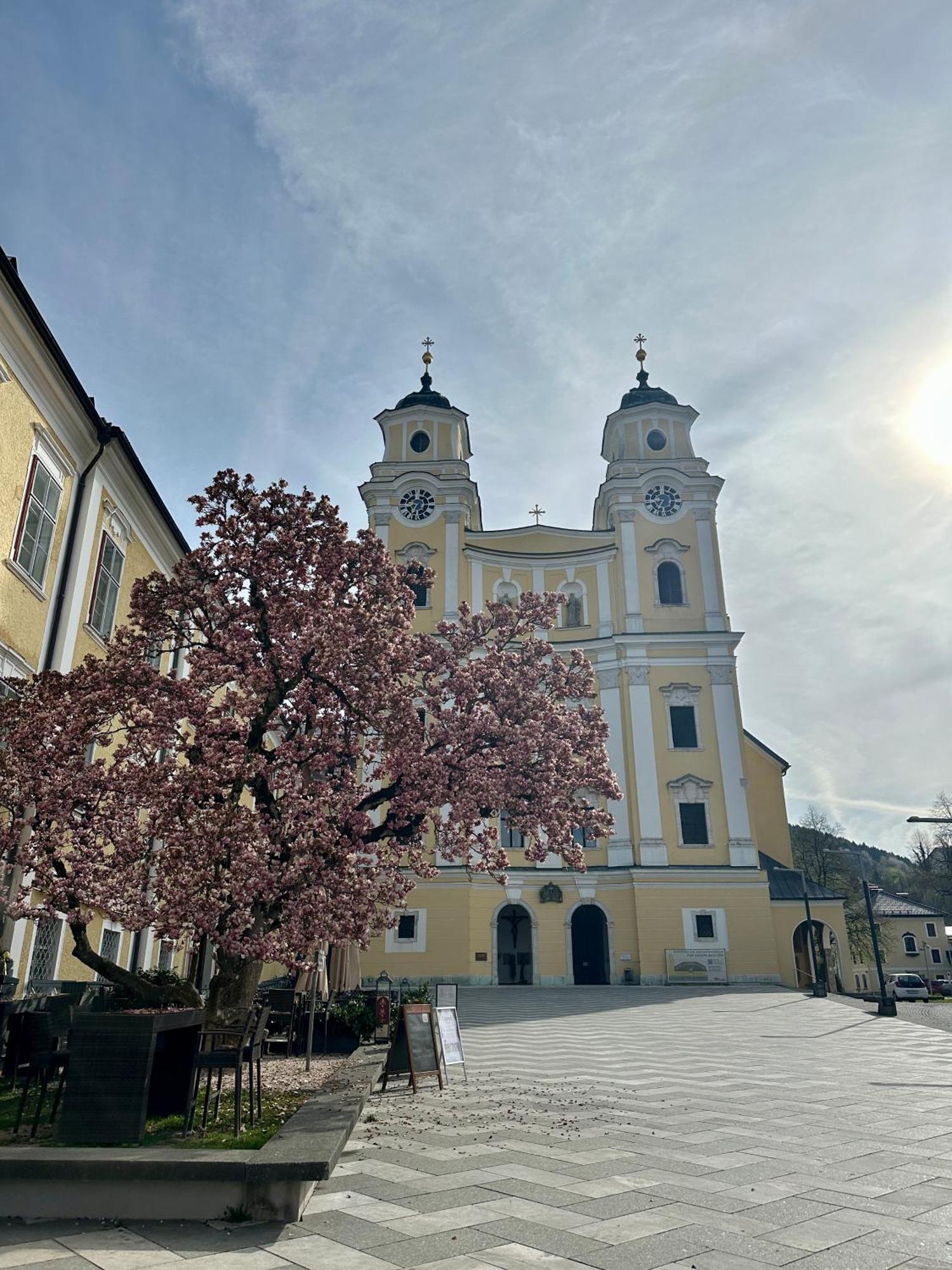 17Er Apartment Mit Sauna Und Privater Garage Mondsee Buitenkant foto